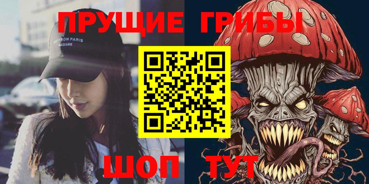 Псилоцибиновые грибы Psilocybine cubensis Барнаул
